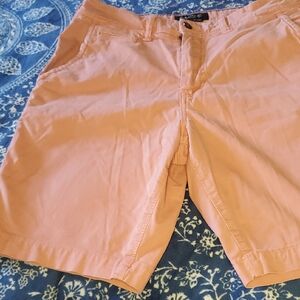 American Eagle Outfitters Light Brown Flat Front Shorts